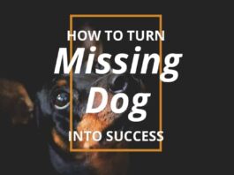 Turn Missing Dog Into Success