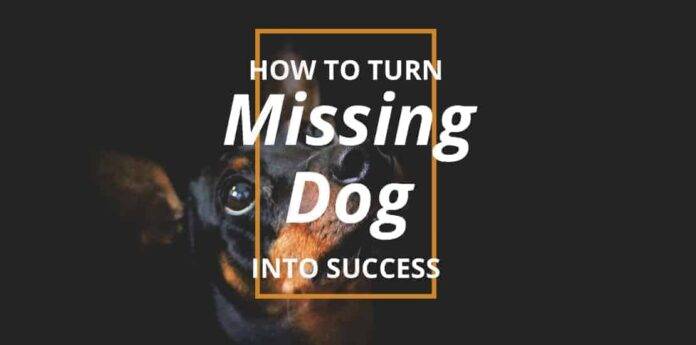 Turn Missing Dog Into Success