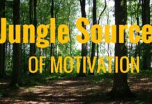 Jungle Source of Motivation