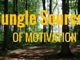 Jungle Source of Motivation