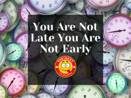 You Are Not Late You Are Not Early