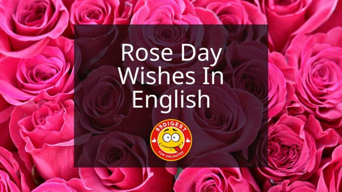 Rose Day Wishes In English