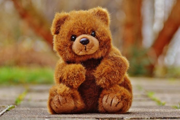 Teddy Day Wishes Quotes Status Messages 